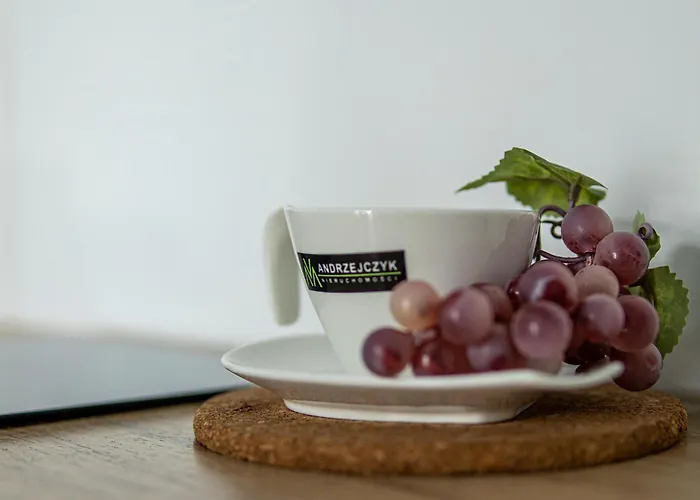 Andrzejczyk - Swietojanska 96 *