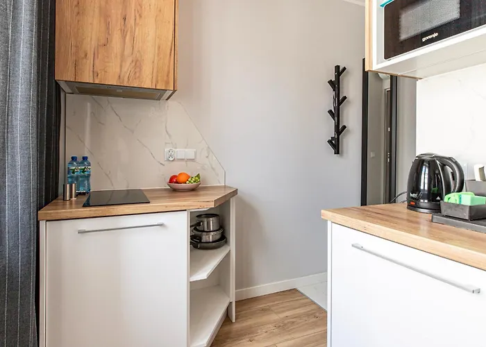 Apartment Andrzejczyk - Swietojanska 96